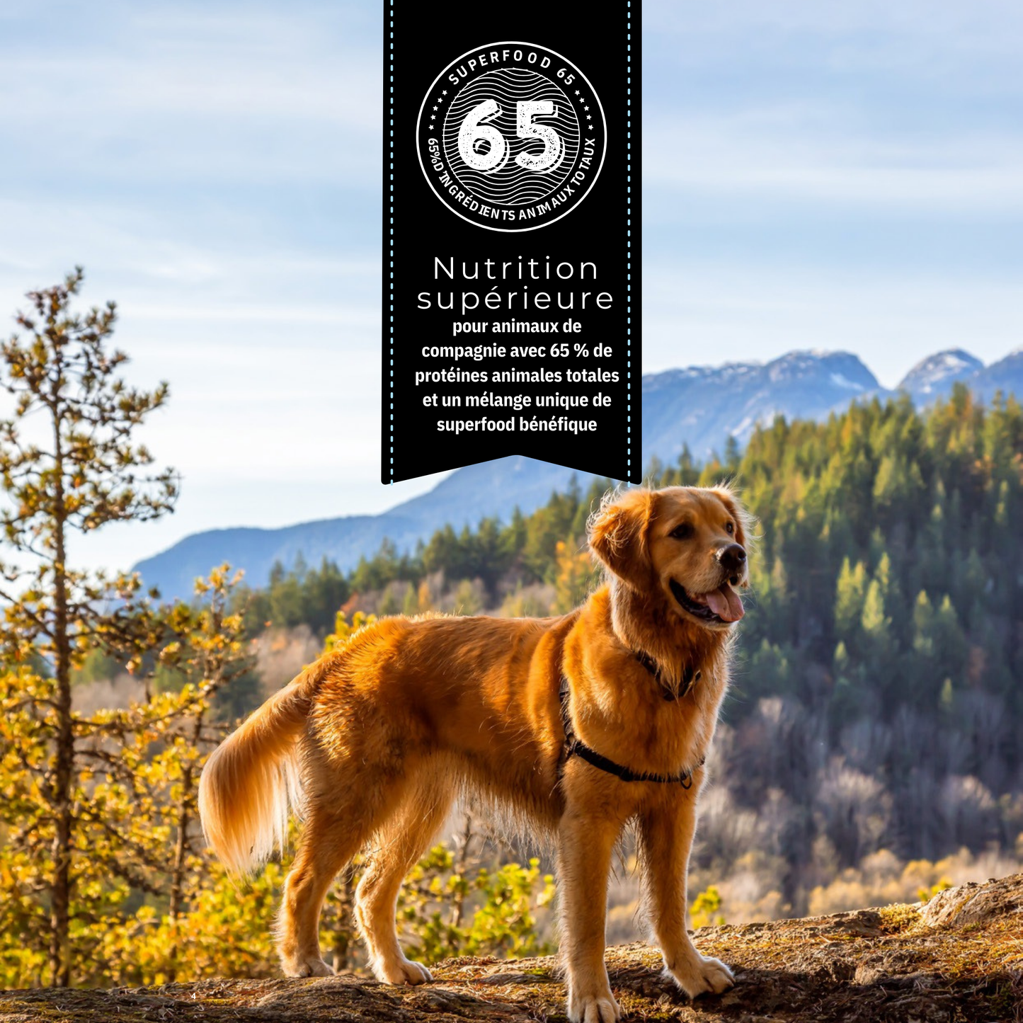 Cani'Max Super Food - Adulte - Saumon d'écosse