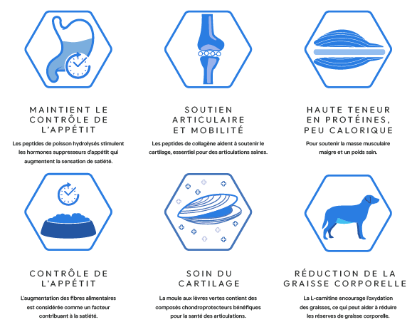 Cani'max controle du poids et soin des articulations