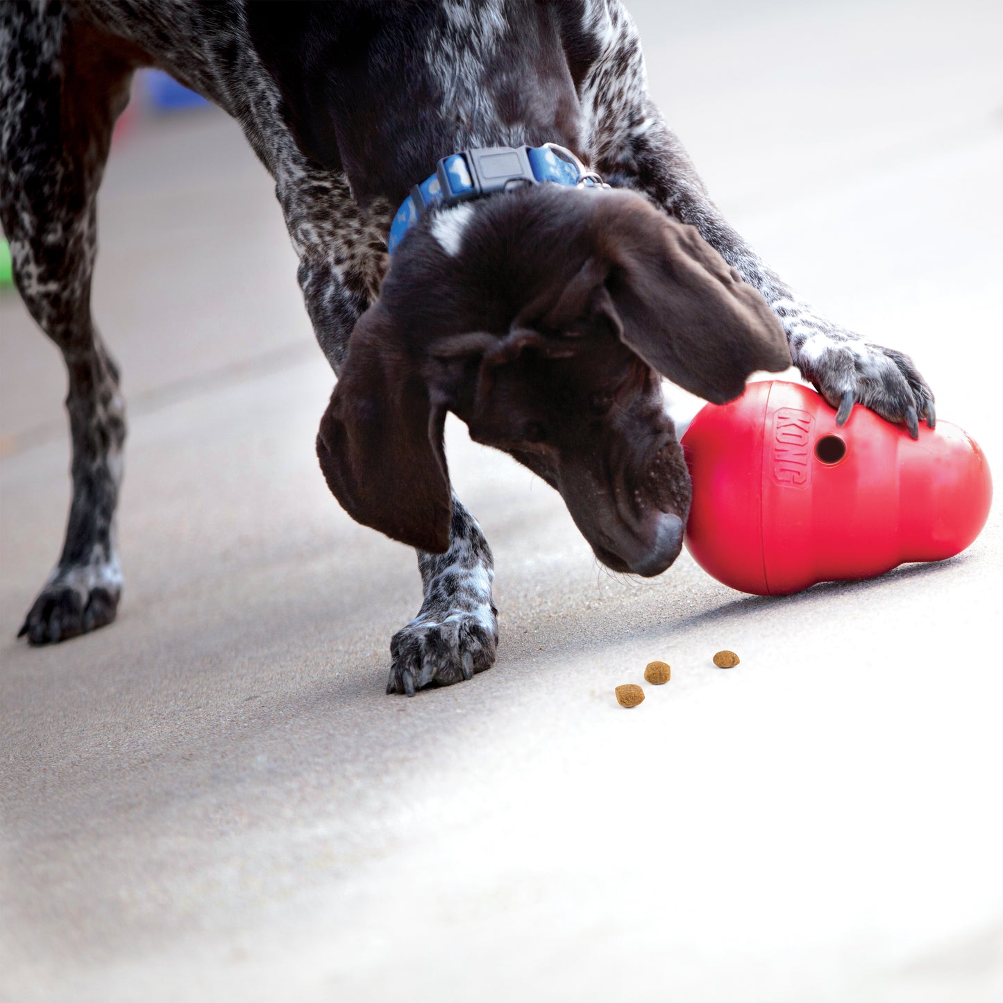 Kong wobbler