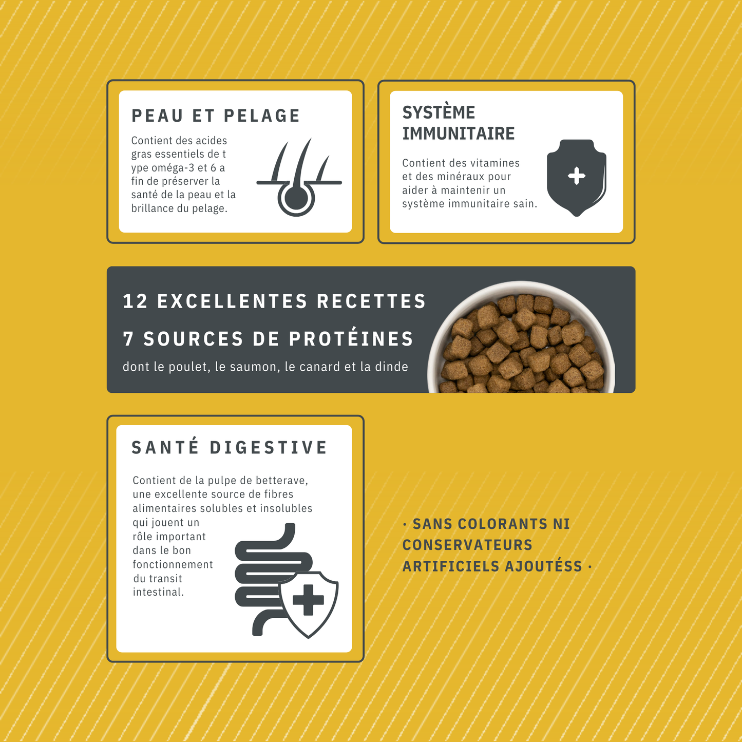 Cani'Max Super Premium - Adulte - Grande Race - Poulet et Riz
