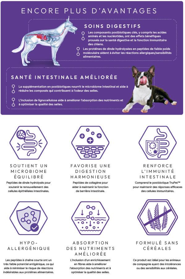 Cani'max soins digestifs