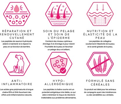 Cani'max soins de la peau et du pelage