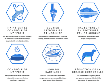 Cani'max controle du poids et soin des articulations