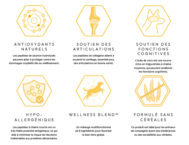 Cani'max vitalité hypoallergénique