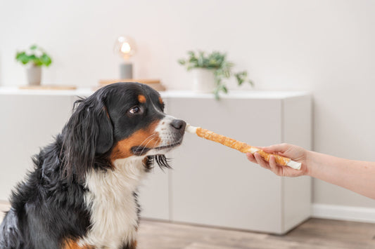 Rolls au Poulet pour Chien 3X 28cm