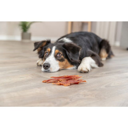 🦆 Stripes au Canard pour Chien – Friandise Naturelle 90% Viande – 100 g  Article n° : 31537 Disponible dans votre animalerie à Toulouse – Retrait en magasin chez Cani Cat 🐶